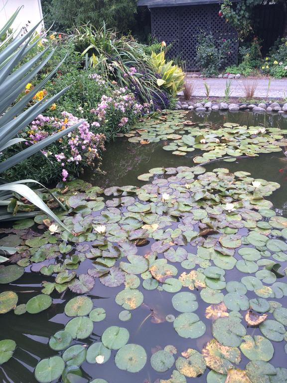 Bed and Breakfast Water Lily Garden Крайстчерч Екстер'єр фото
